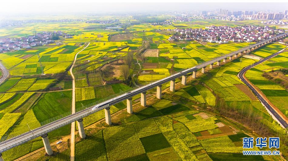 中年大叔发薪日豪揽3351万:只想好好休个假-图_CN2服务器独享IP