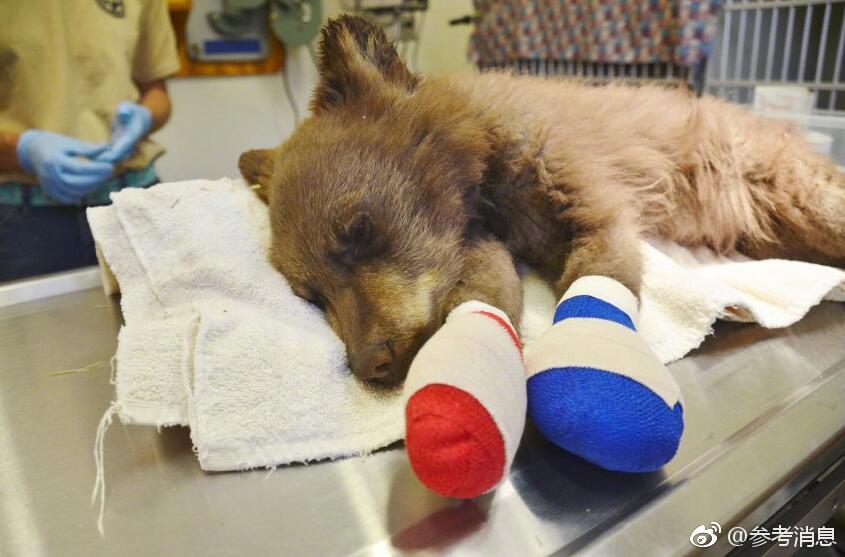 域名店铺如何卖域名_云电脑数据隔离