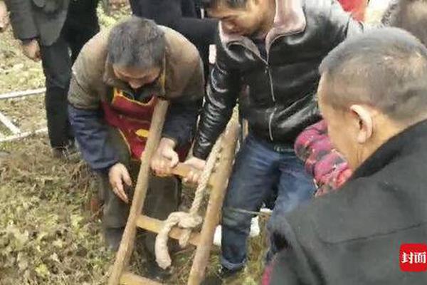 凤姐怼周立波一文不值、没文化!_美国CN2服务器性价比