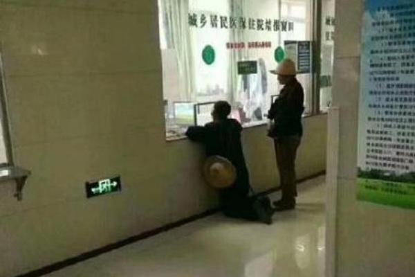 美艳的动物界