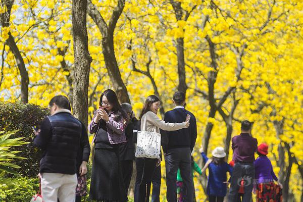 焚烧圆明园的除英军还有这些"家贼"_云服务器20M带宽