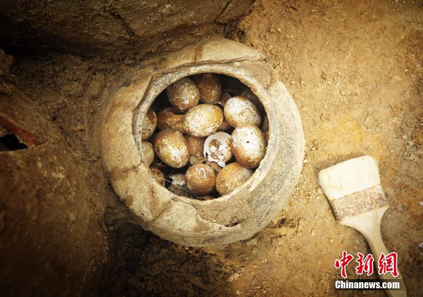 宫廷瑞兽登上3X3黄金联赛_国内vps