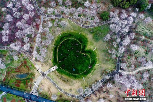 xmind8零基础/进阶/案例全程通关_挂机宝宿迁
