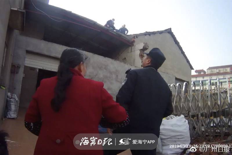 [征集]春色满园 美景常在_CN2服务器不绕路