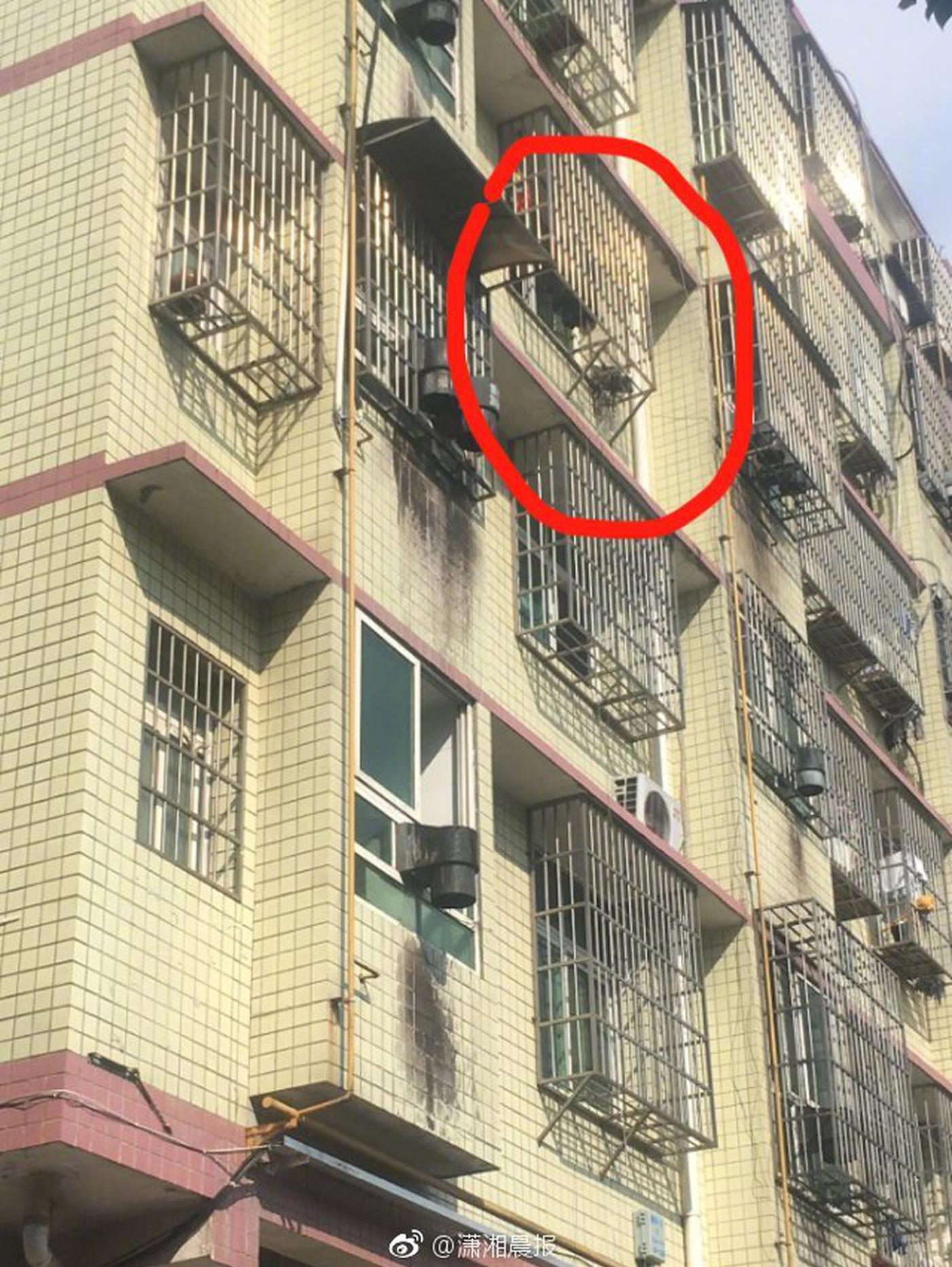 北大弑母嫌犯吴谢宇舅舅:已原谅他 但有一要求_CN2容灾备份