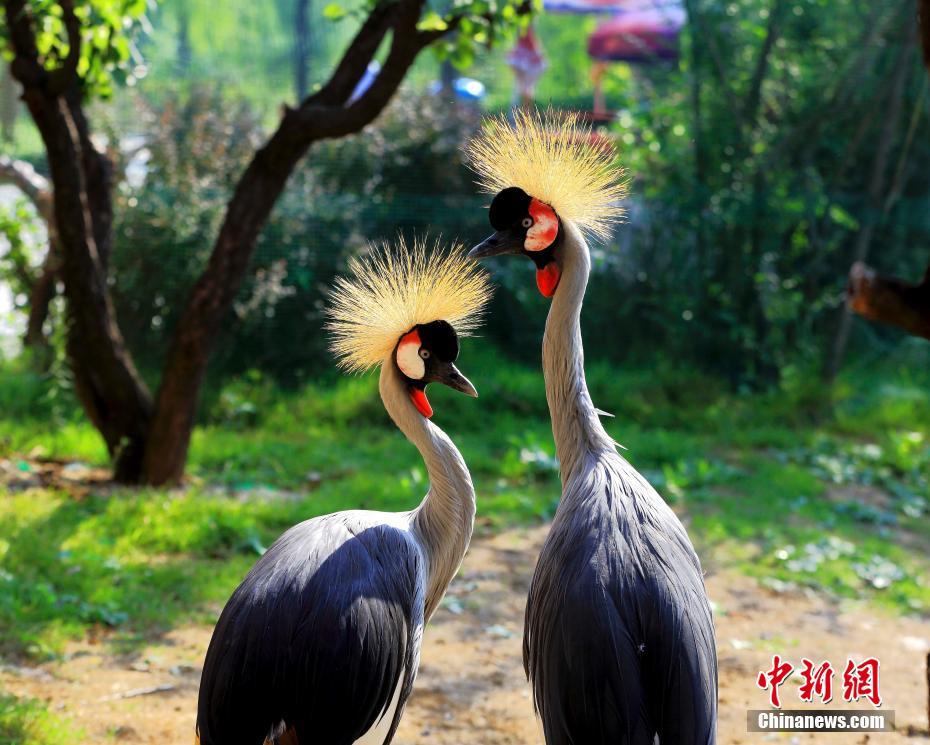 追星赢家!木村拓哉穿迷弟罗志祥赠送衣服拍照认证_CN2 VPS