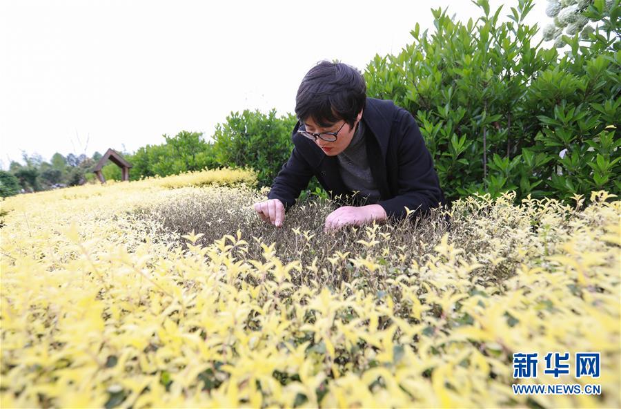 上了三年护理系结果是家政？官方通报来了