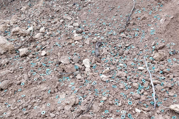 漂流瓶里有“神仙”？真相让人哭笑不得_9929DevOps环境