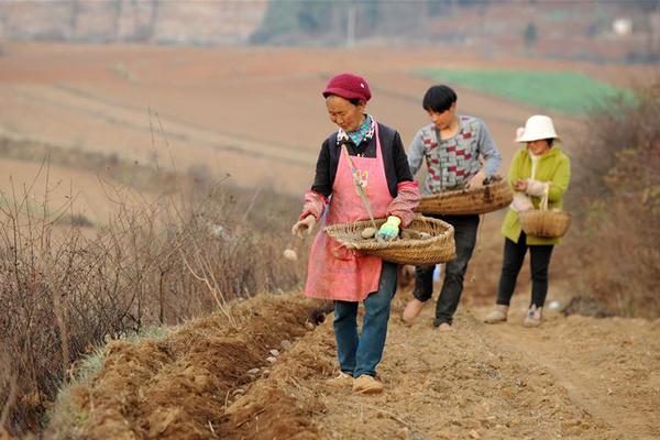 刘国梁痛批樊振东:别再捧杀 他还不具备冠军气质_挂机宝单线