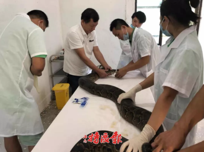 美国大选还没开始，特朗普就给他的对手都取好了外号_CN2服务器速度快