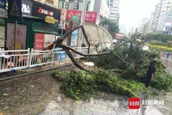 宋江加入黑社会的三步棋_挂机宝采集