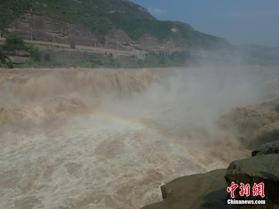 不酷不行的爆款阔肩西装_挂机宝迷你哆