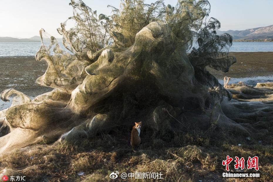 多赚点钱吧，因为活着很贵_CN2回国线路