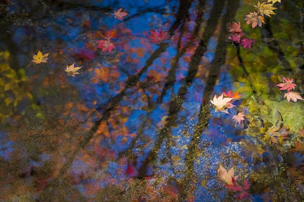 想听最标准普通话?别去北京,要去这县城_9929企业级云服务器
