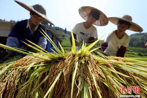 蚂蚁金服总裁助理毛军华因病去世 终年41岁_CN2服务器适合做什么