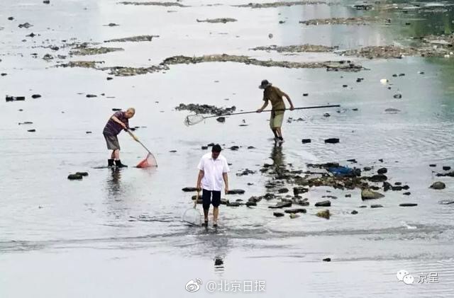 如何区分真假“以房养老”_挂机宝不支持3D游戏