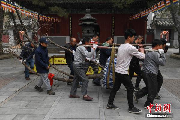 闪电豹闪电豹和同伴们的探险记闪电豹和同伴们的探险记