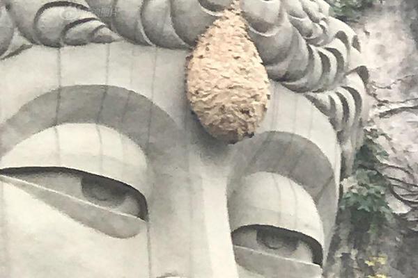 盛世娇宠:这个娘娘有点懒_9929原生IP
