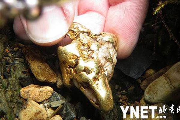 改款思域5月上市配跑车中置排气_虚拟机挂机宝