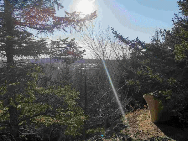 广东连山山洪最后一名失联人员确认遇难 共致6死_9929跨境业务