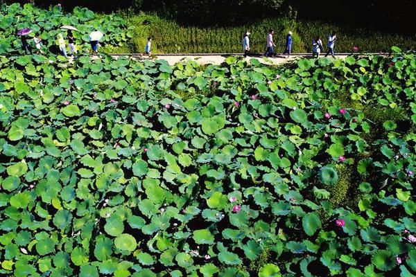 广东省委统战部原部长曾志权案开庭:被控受贿上亿_挂机宝山东