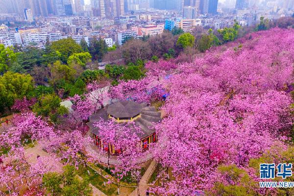 身在美国心在汉 这些海外新车都瞄准了中国市场_CN2服务器租用