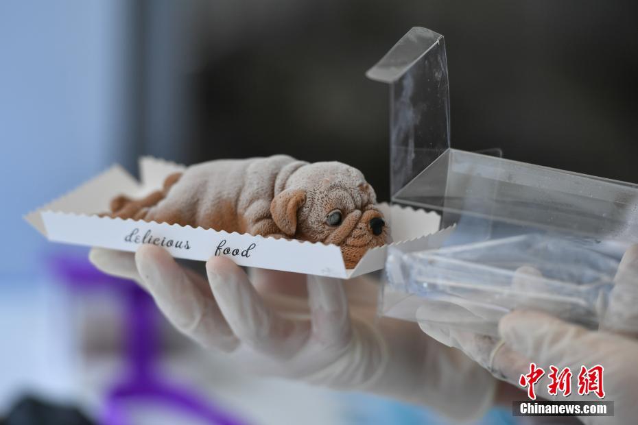 菩提为何狠心将孙悟空赶出师门？生死簿上有答案！