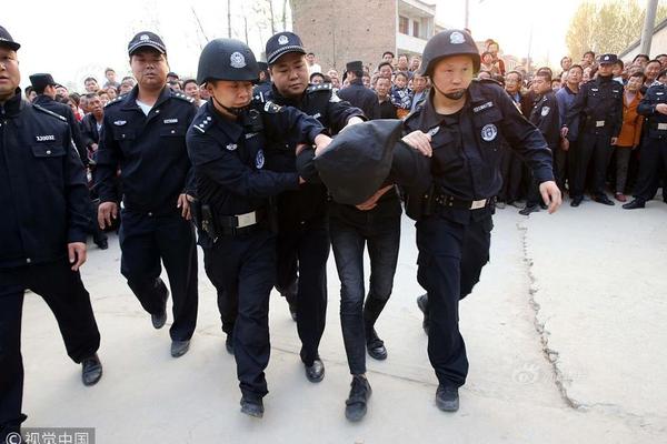 5成女性认为婚姻非必有