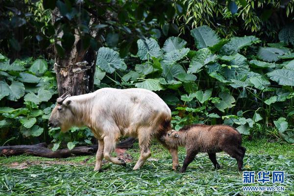 云服务器安全吗_显卡挂机宝