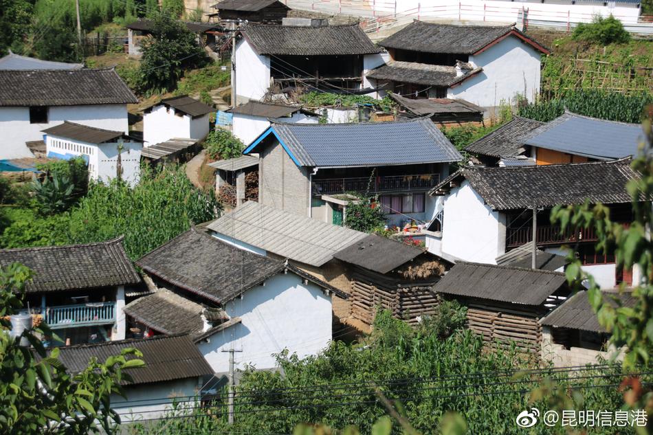 刘诗诗挺八月孕肚出游_云服务器10M带宽