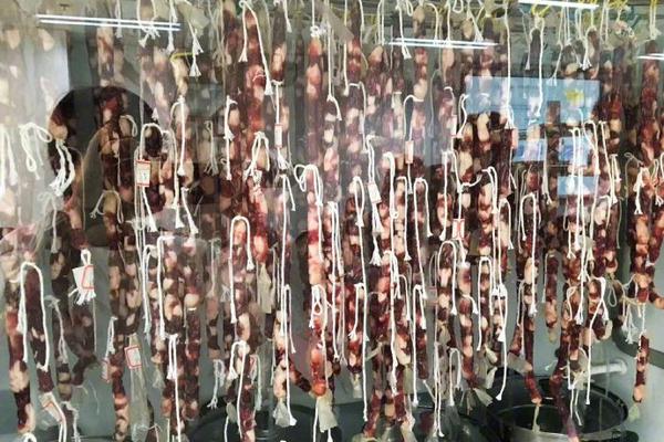 新东方暑假班报名入口_9929云服务器