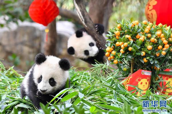 外观时尚前脸冲击力强 雷克萨斯ES优惠1万元_9929个人开发者